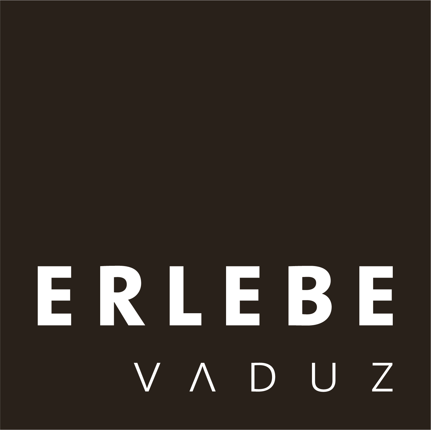 Erlebe Vaduz