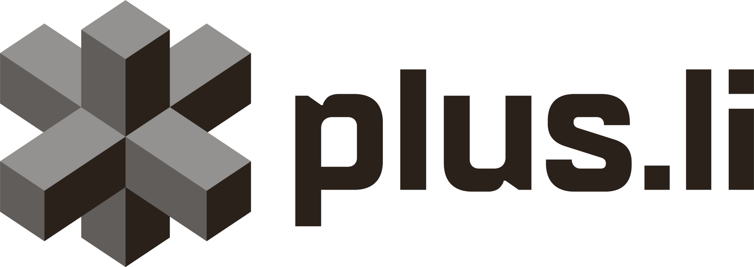 plus.li
